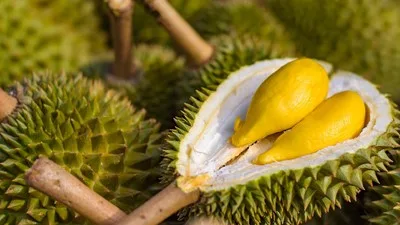 Durian