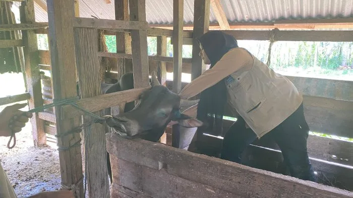 img_20250204_wa00261 Vaksinasi PMK