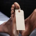 b3ac69eb-1790-4688-96d1-1fe0433e1735_169 Wartawan media online