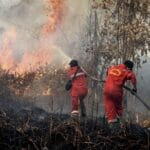 Kebakaran Hutan di Riau BNPB