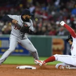 Detroit Tiger Detroit Tiger