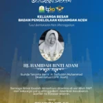 SaveClip.App_534727521_18128806990457801_1378889672935767962_n IKLAN BPKA