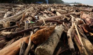 Jusuf Kalla menyoroti pemanfaatan kayu gelondongan banjir Sumatra untuk pemulihan ekonomi masyarakat terdampak