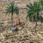 Kapolri Listyo Sigit Prabowo umumkan korporasi tersangka kasus kayu gelondongan banjir Sumatra