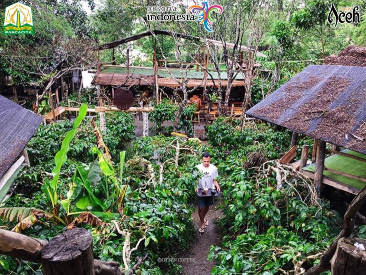 Galeri Kopi Indonesia Gayo wisata edukasi kopi di Aceh Tengah dengan pengalaman cupping dan kebun kopi