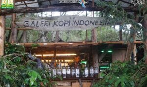 Galeri Kopi Indonesia Gayo wisata edukasi kopi di Aceh Tengah dengan pengalaman cupping dan kebun kopi