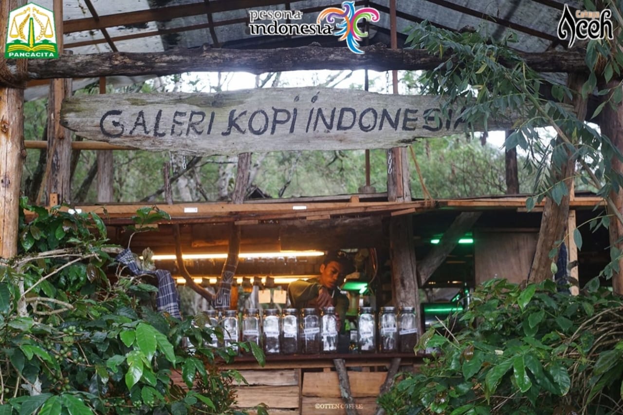 Galeri Kopi Indonesia Gayo wisata edukasi kopi di Aceh Tengah dengan pengalaman cupping dan kebun kopi