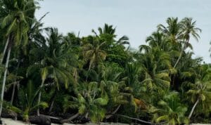 Pulau Banyak Aceh Singkil