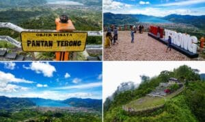 Pantan Terong Gayo negeri atas awan dengan panorama sunrise dan kabut di Aceh Tengah.
